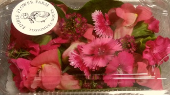 （送料・クール料金別途必要）濃いピンクレッド系お花パック２５輪