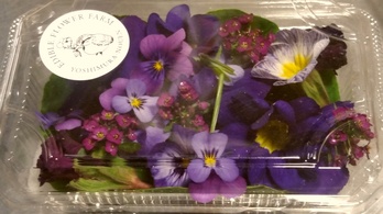 （送料・クール料金別途必要）ブルーパープル系パック２５輪