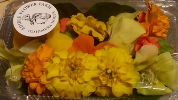 （送料・クール料金別途必要）イエロー・オレンジ系お花パック