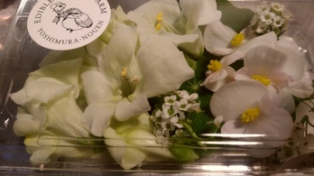 （送料・クール料金別途必要）ホワイト系お花パック２５輪